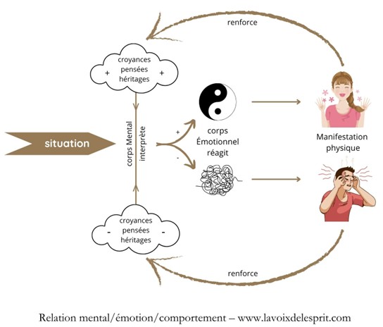 relation mental-émotion-comportement