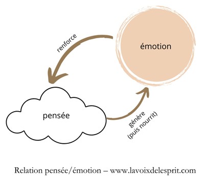 relation pensée-émotion