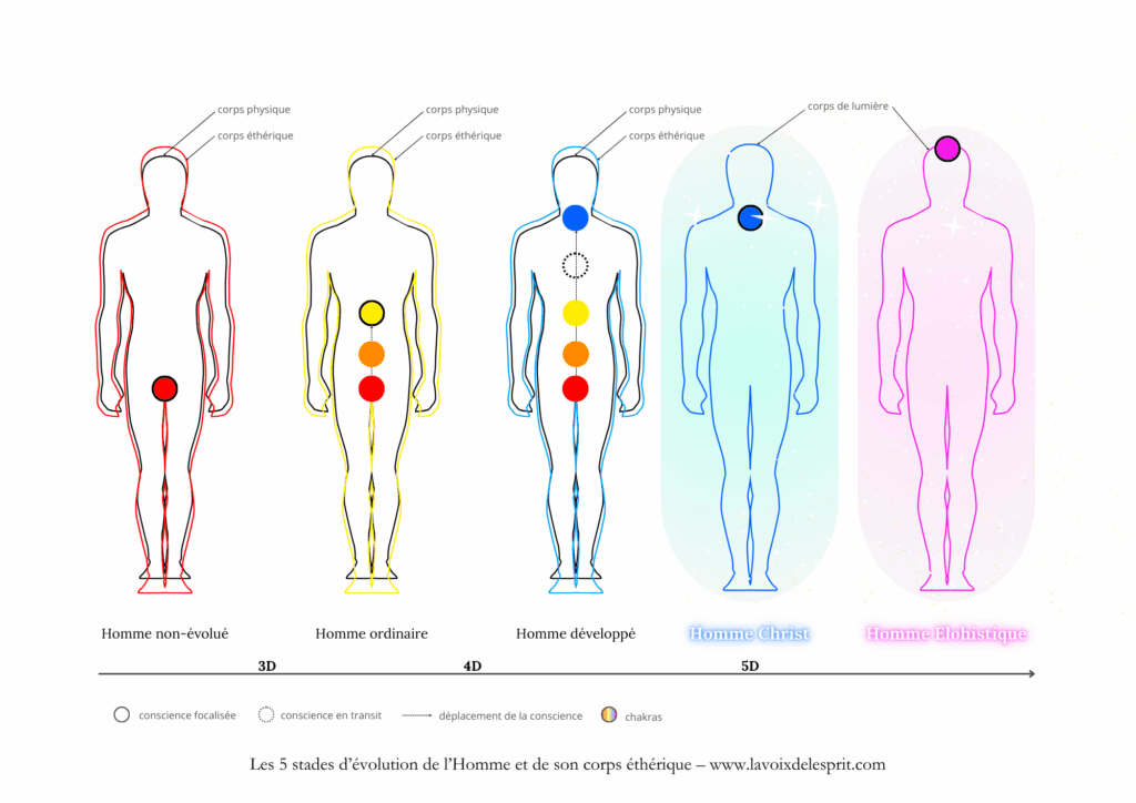5 stades d'évolution de l'Homme et de son corps éthérique