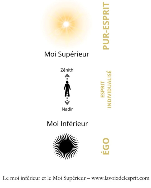 égo et moi supérieur